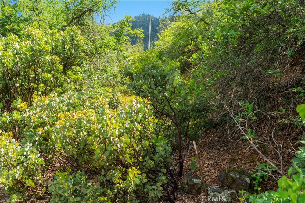 19753 Bonnie Vista Lakehead, CA 96051