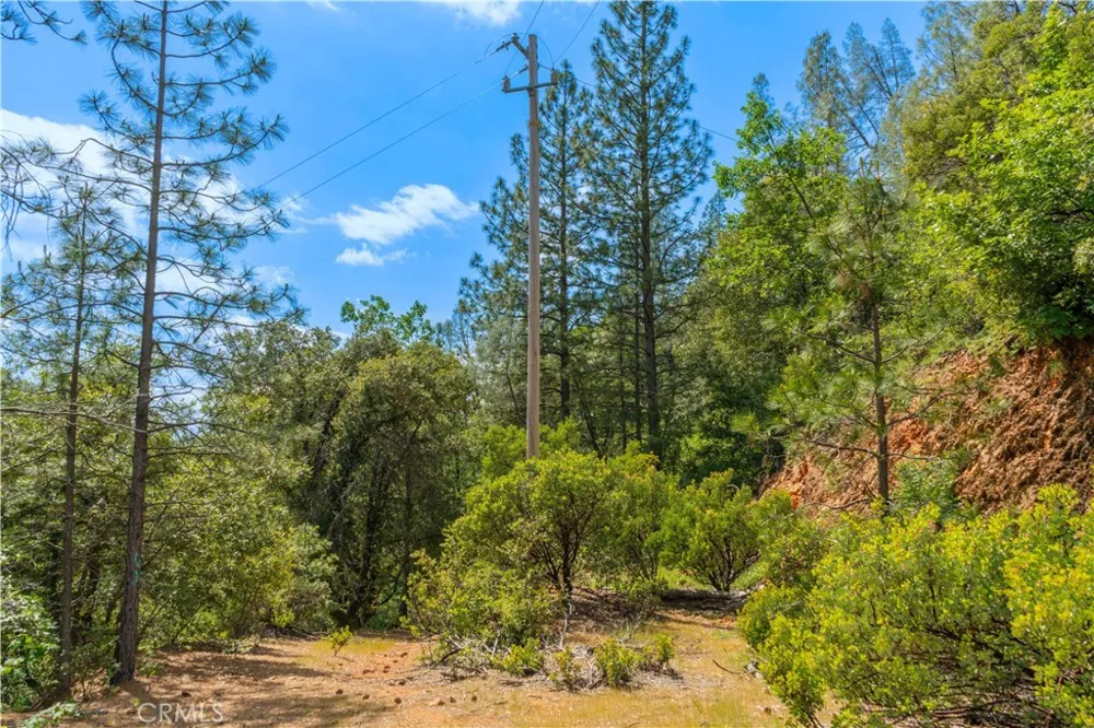 19753 Bonnie Vista Lakehead, CA 96051