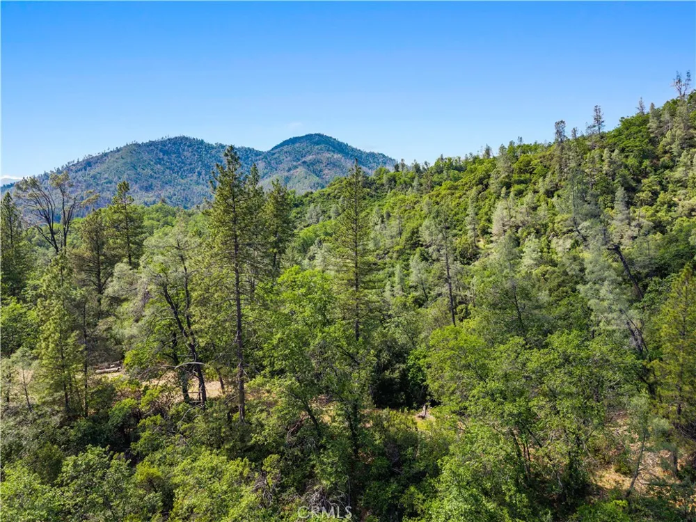 19753 Bonnie Vista Lakehead, CA 96051