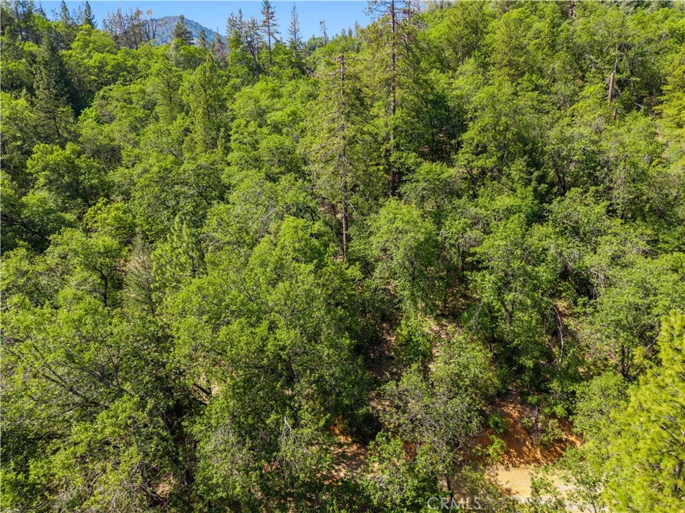 19753 Bonnie Vista Lakehead, CA 96051
