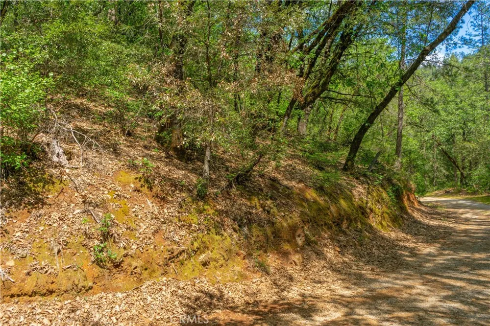 19753 Bonnie Vista Lakehead, CA 96051