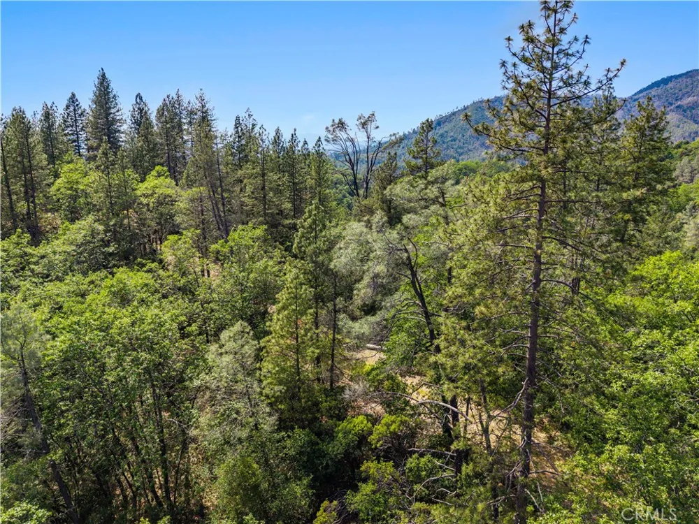19753 Bonnie Vista Lakehead, CA 96051