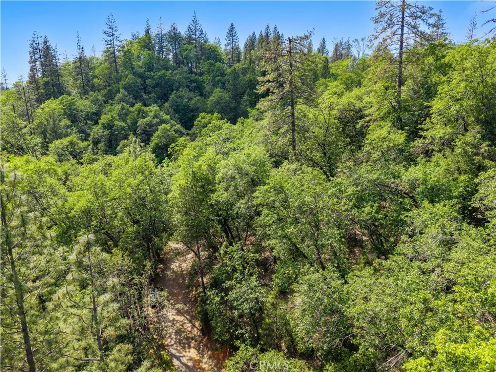 19753 Bonnie Vista Lakehead, CA 96051