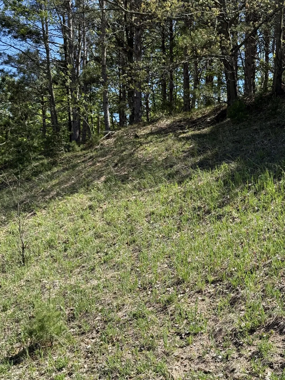 Sadie Lane #Parcel 'D' Bear Lake, MI 49614