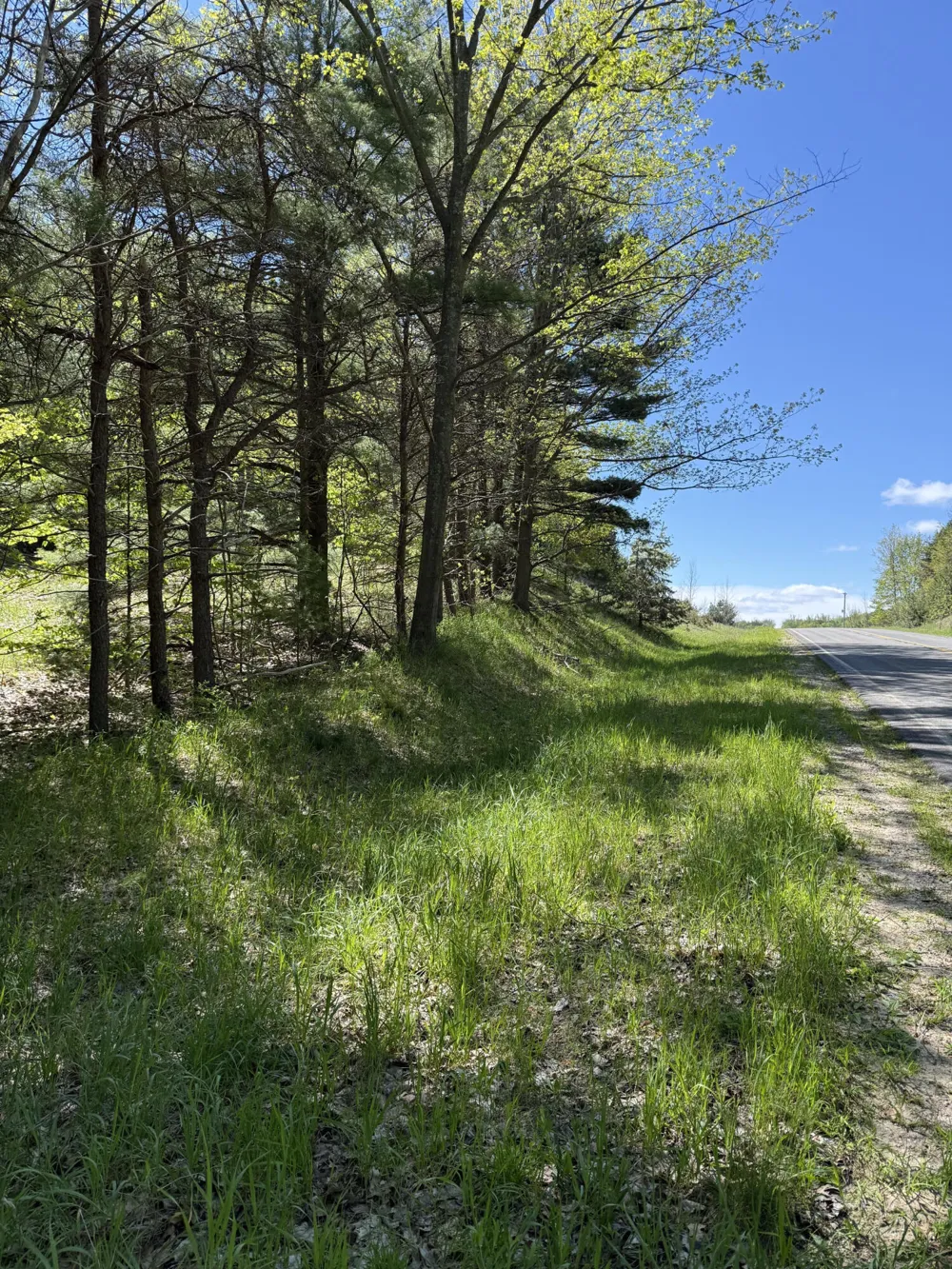 Sadie Lane #Parcel 'D' Bear Lake, MI 49614