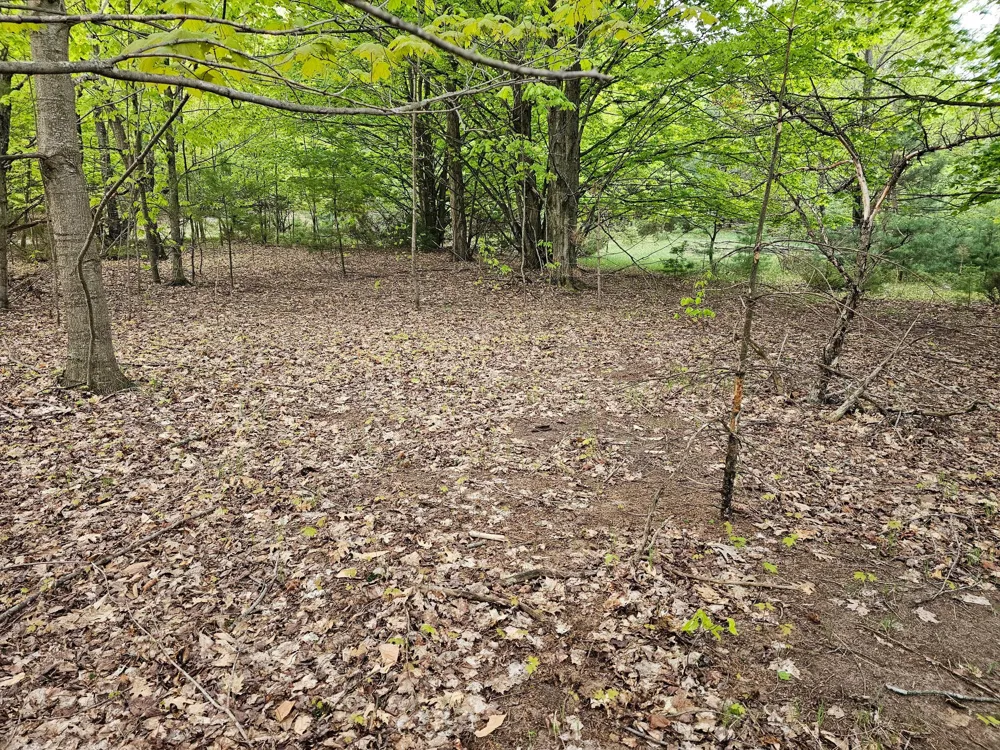 Sadie Lane #Parcel 'D' Bear Lake, MI 49614