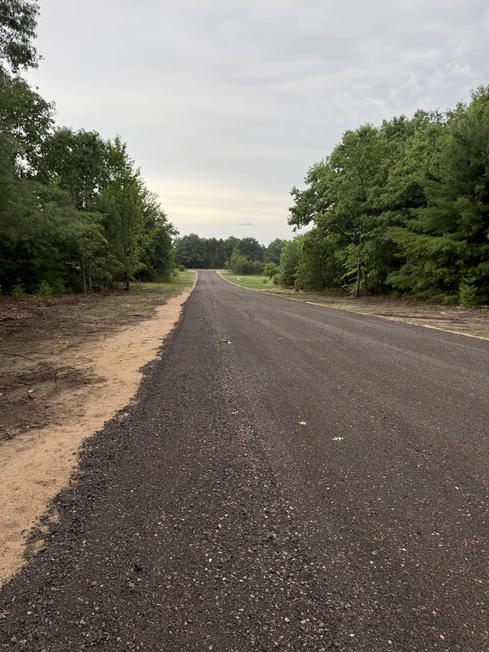 Sadie Lane #Parcel 'D' Bear Lake, MI 49614