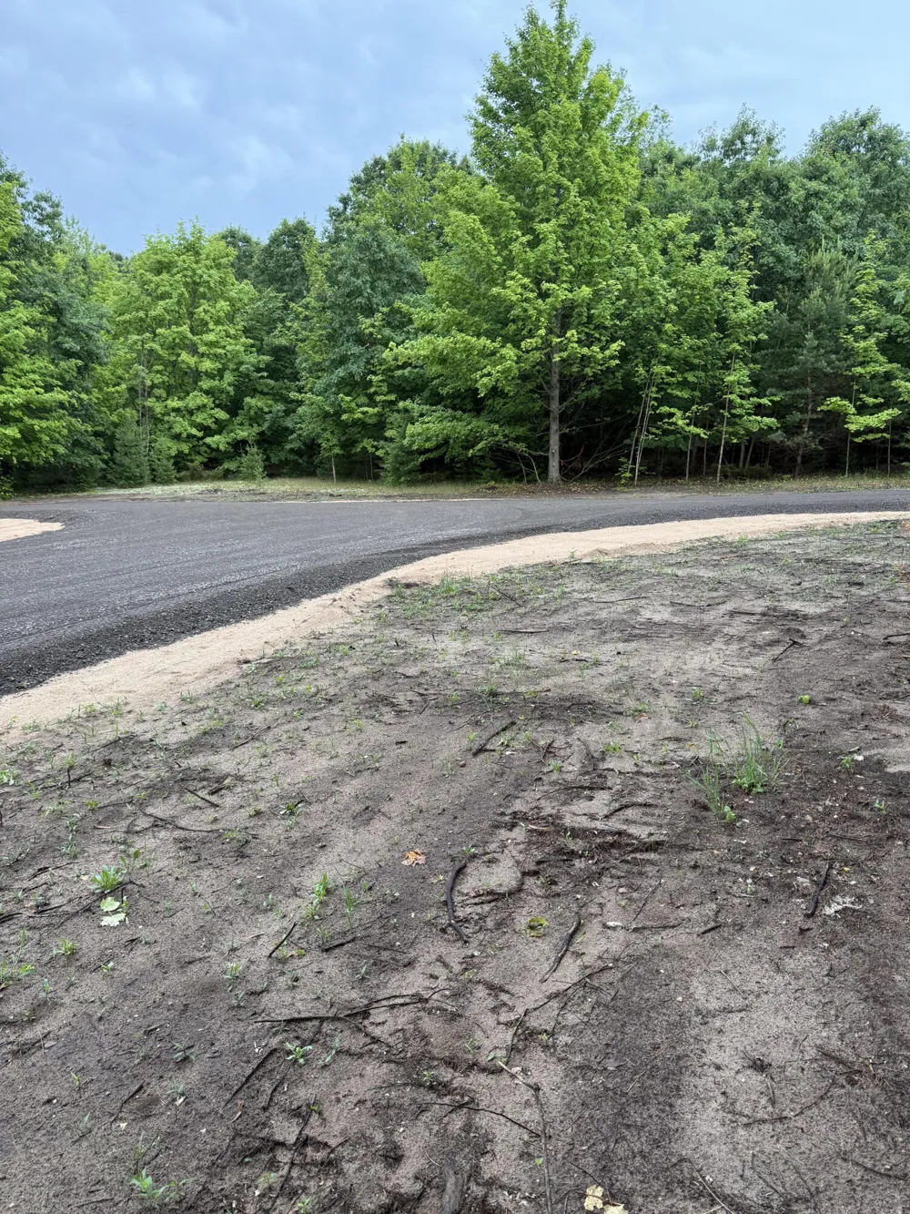 Sadie Lane #Parcel 'D' Bear Lake, MI 49614