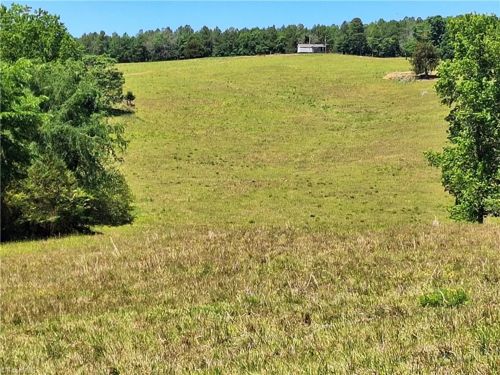00 Burgess Cattle Drive Ramseur, NC 27316