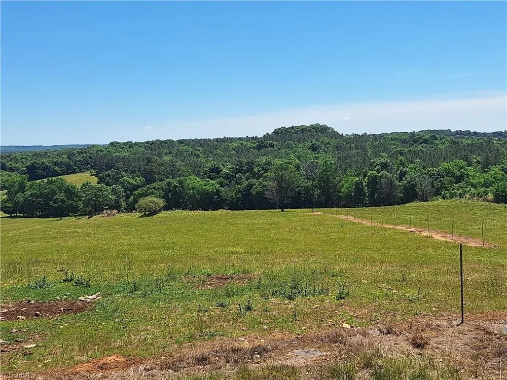 00 Burgess Cattle Drive Ramseur, NC 27316