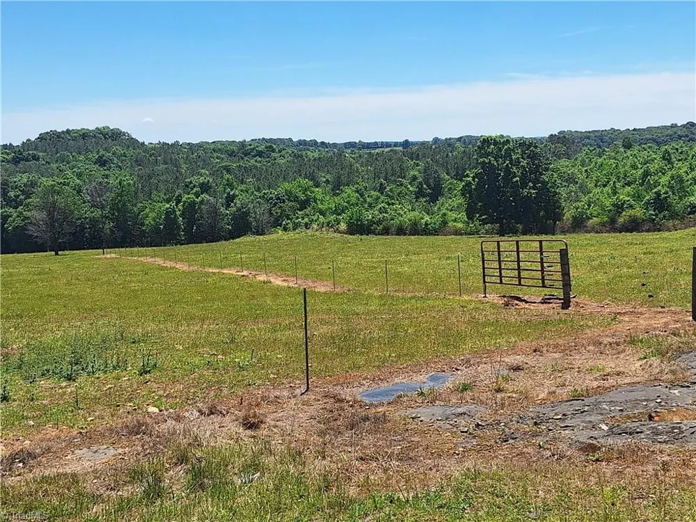 00 Burgess Cattle Drive Ramseur, NC 27316