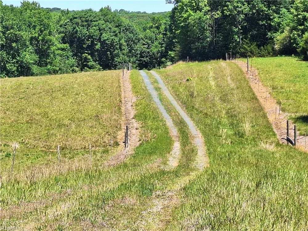 00 Burgess Cattle Drive Ramseur, NC 27316