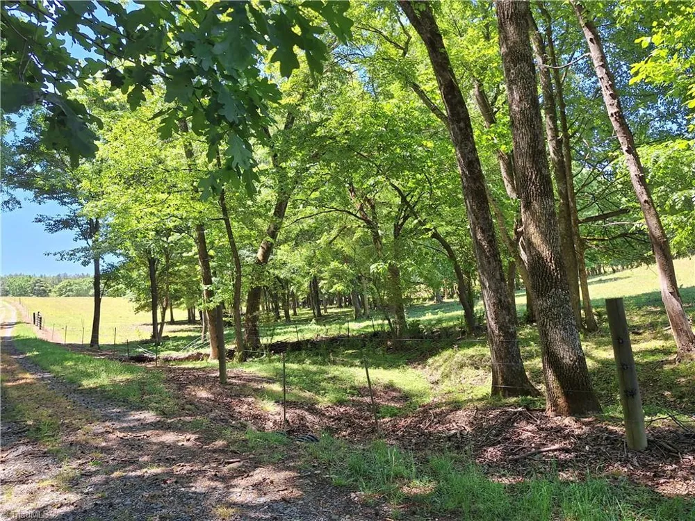 00 Burgess Cattle Drive Ramseur, NC 27316