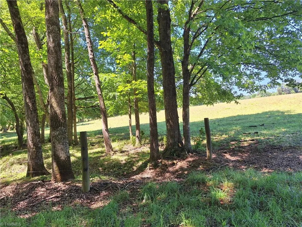 00 Burgess Cattle Drive Ramseur, NC 27316