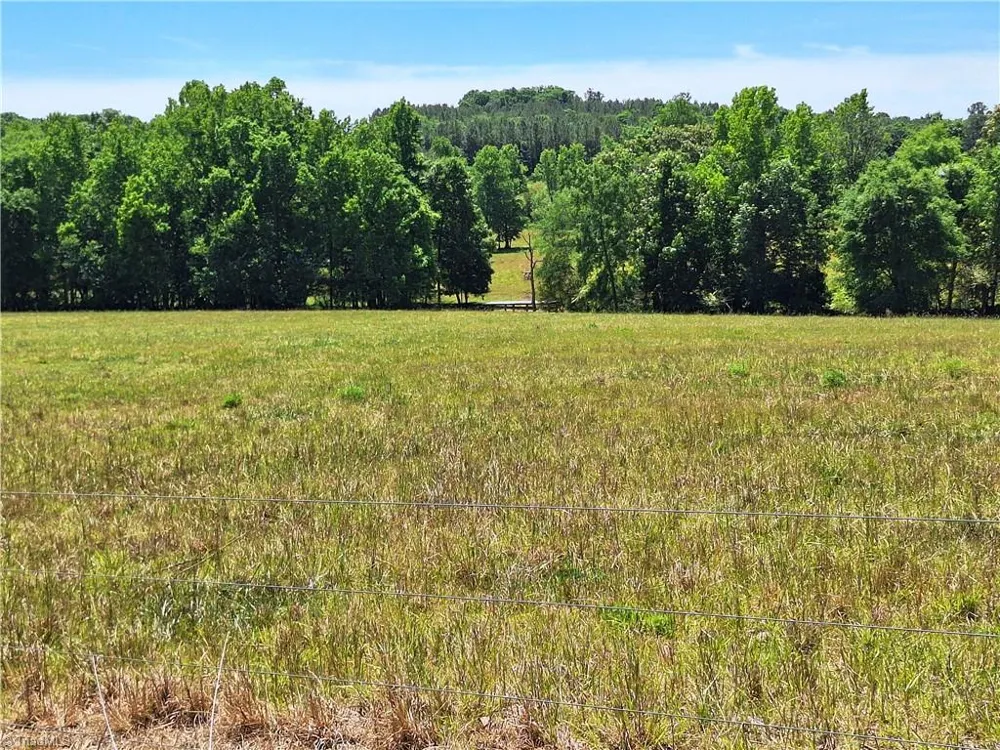 00 Burgess Cattle Drive Ramseur, NC 27316