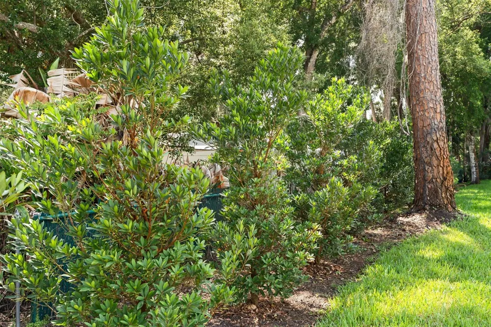 247 DEBARY DR Debary, FL 32713