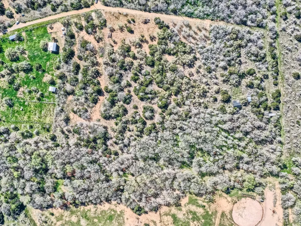 Royal Drive Dale, TX 78616
