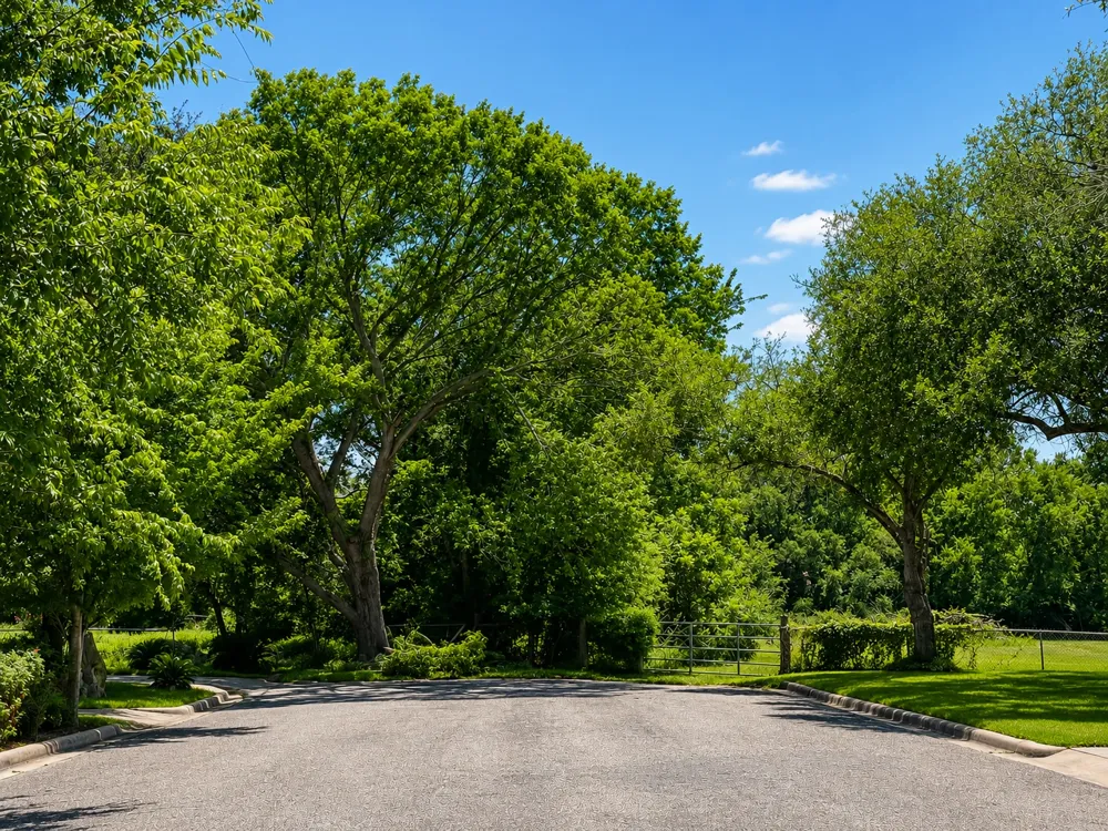 S Knox Avenue Giddings, TX 78942