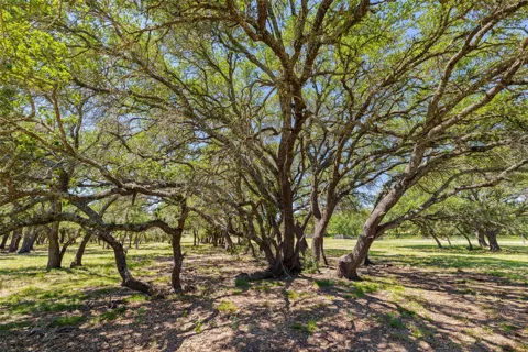 937 Flat Creek Road