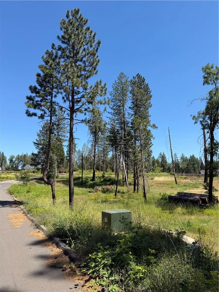 13817 Ferguson Magalia, CA 95954
