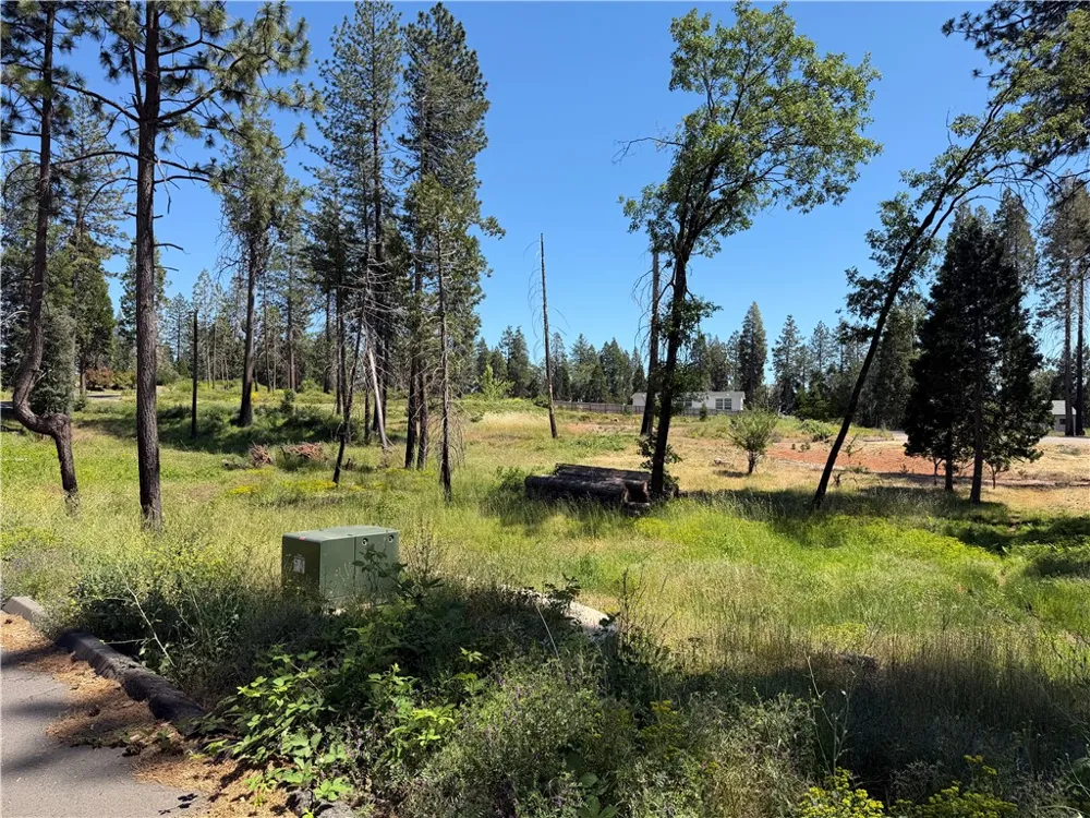 13817 Ferguson Magalia, CA 95954