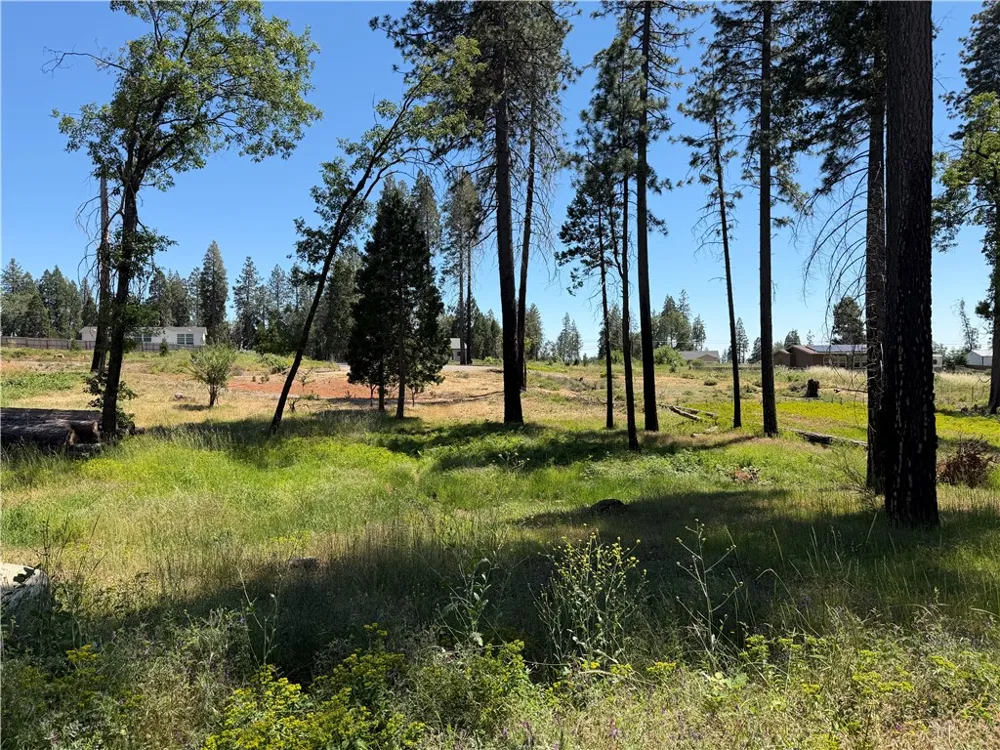 13817 Ferguson Magalia, CA 95954