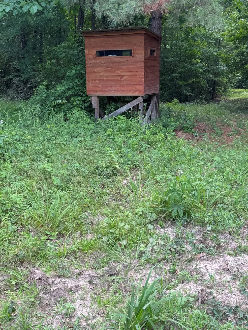 HWY 259 Diana, TX 75640