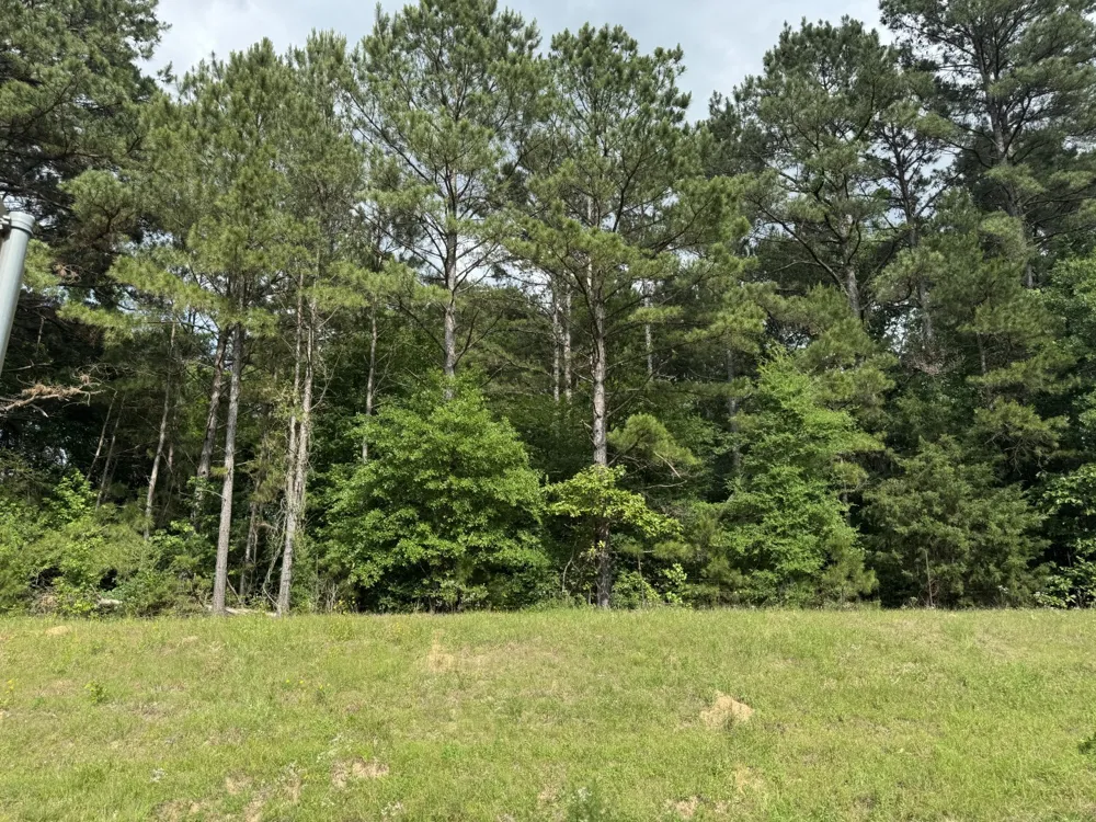 HWY 259 Diana, TX 75640