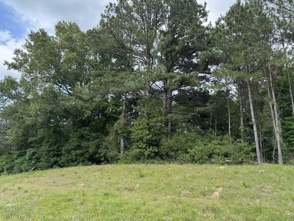 HWY 259 Diana, TX 75640