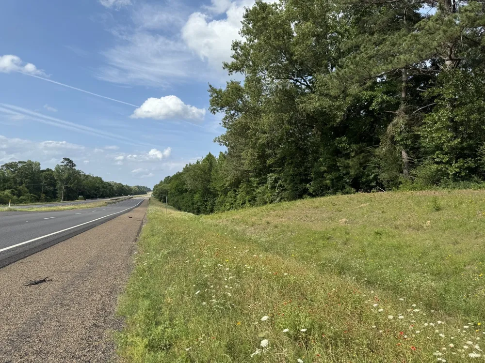 HWY 259 Diana, TX 75640