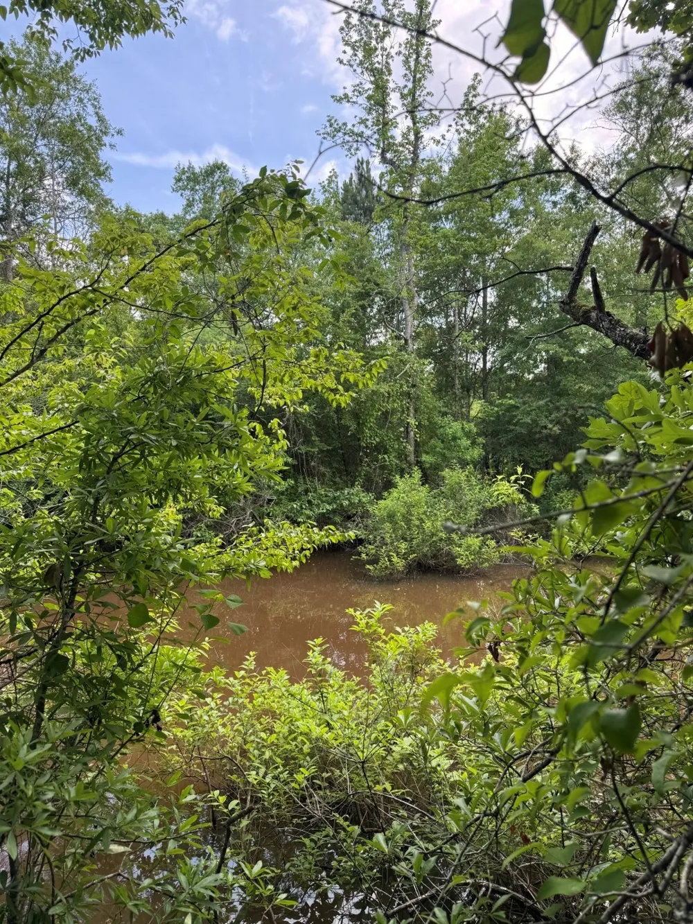 HWY 259 Diana, TX 75640