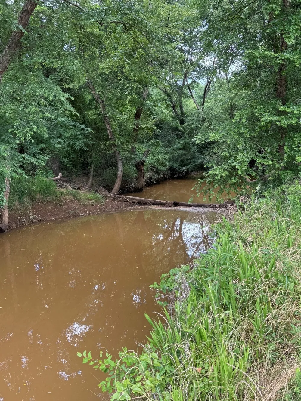 HWY 259 Diana, TX 75640