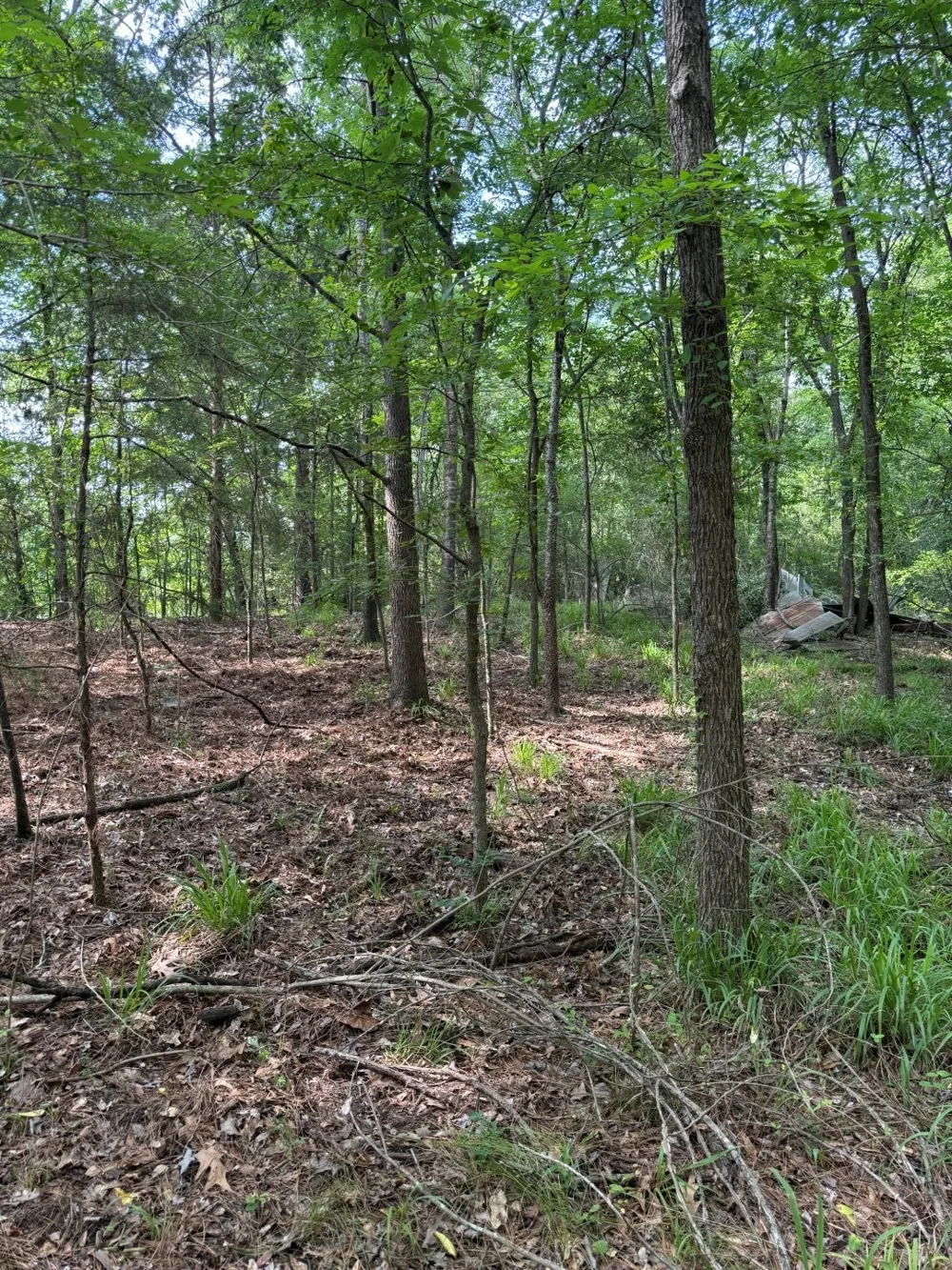 HWY 259 Diana, TX 75640