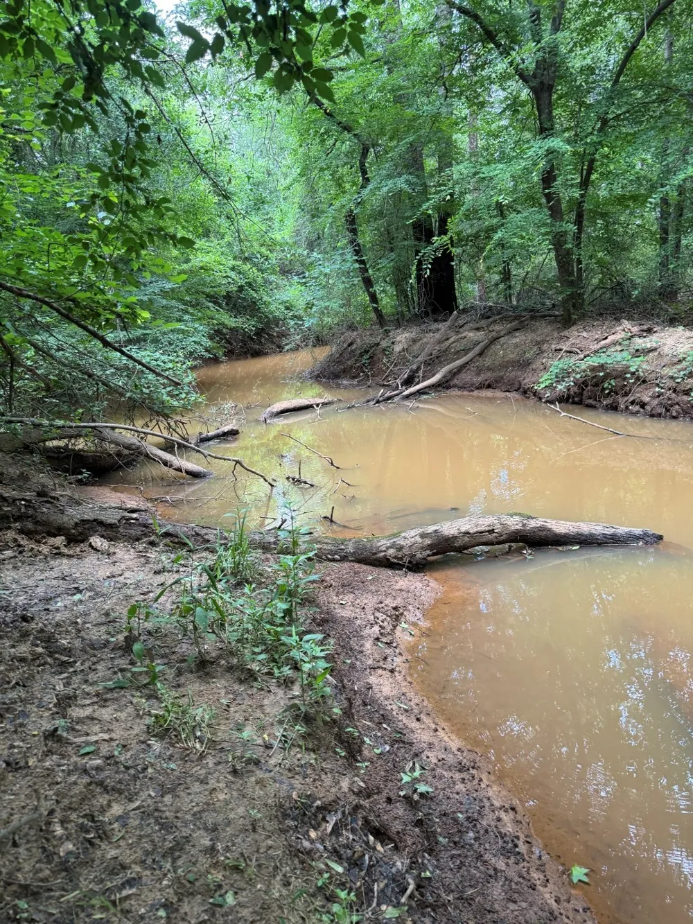HWY 259 Diana, TX 75640