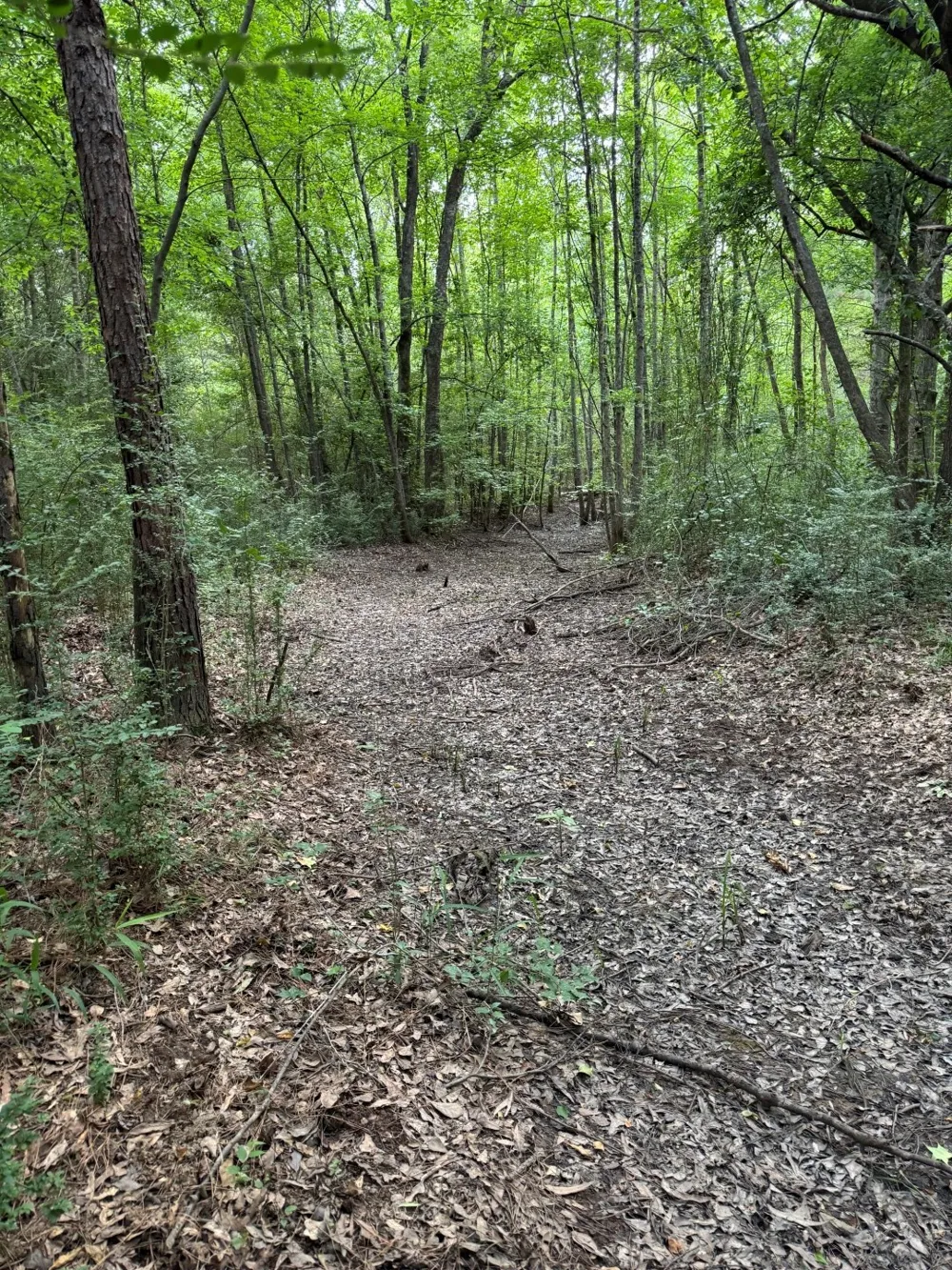 HWY 259 Diana, TX 75640