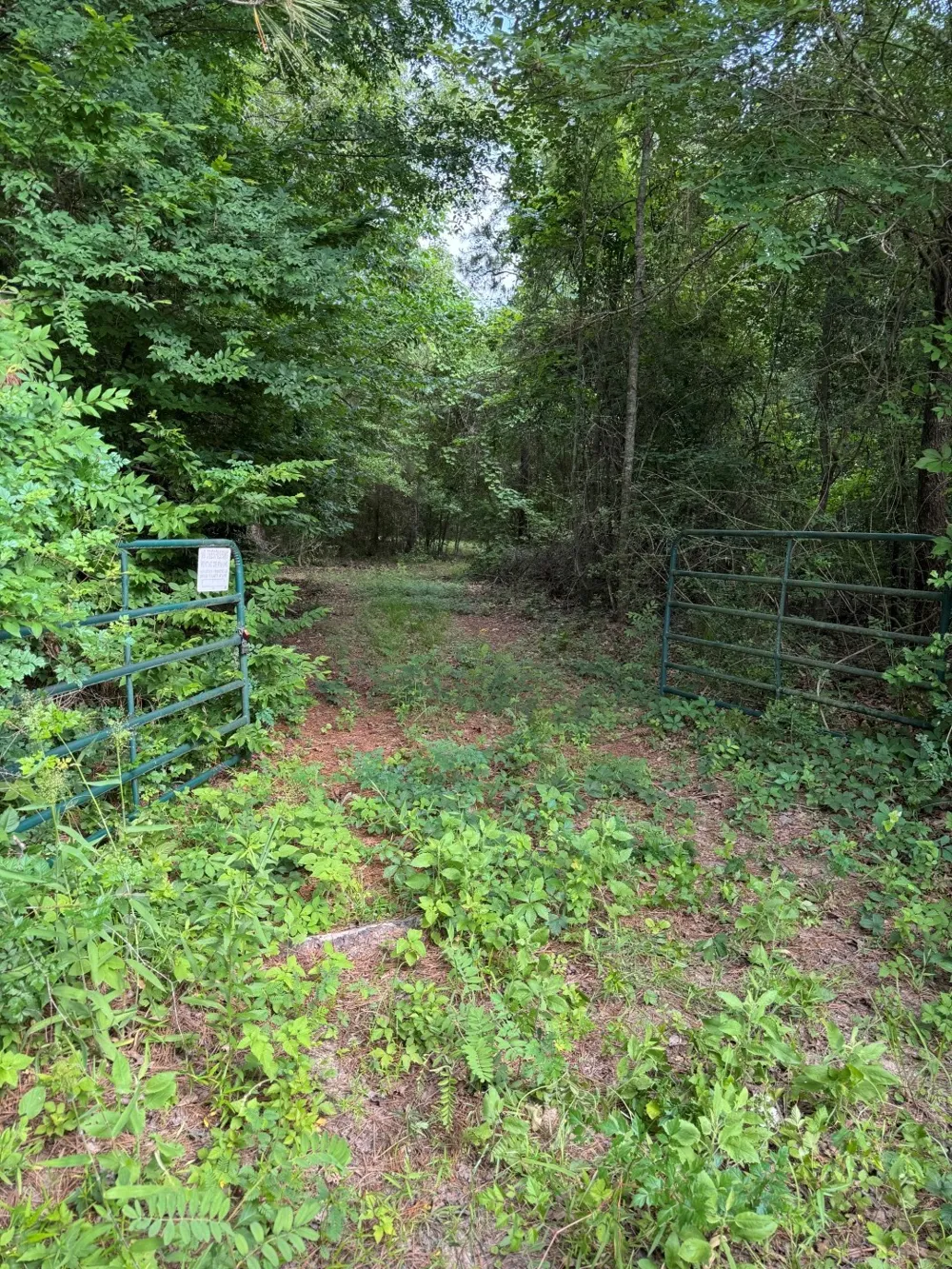 HWY 259 Diana, TX 75640