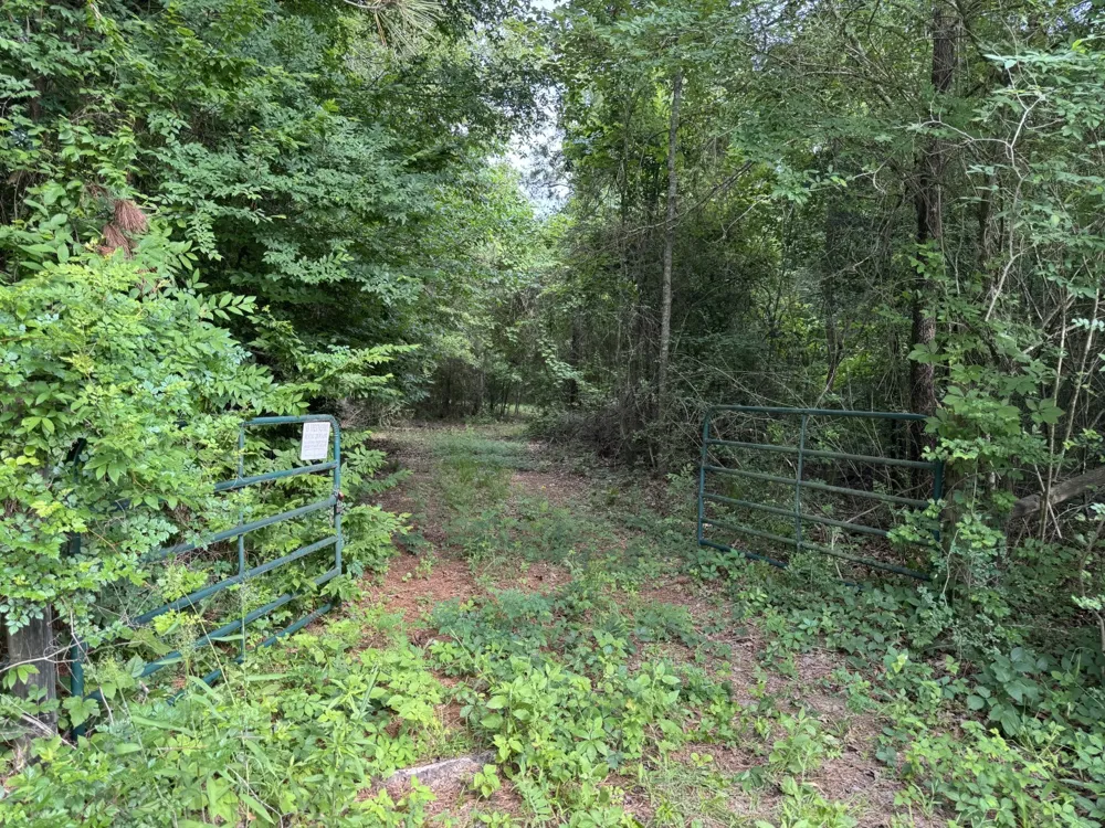 HWY 259 Diana, TX 75640
