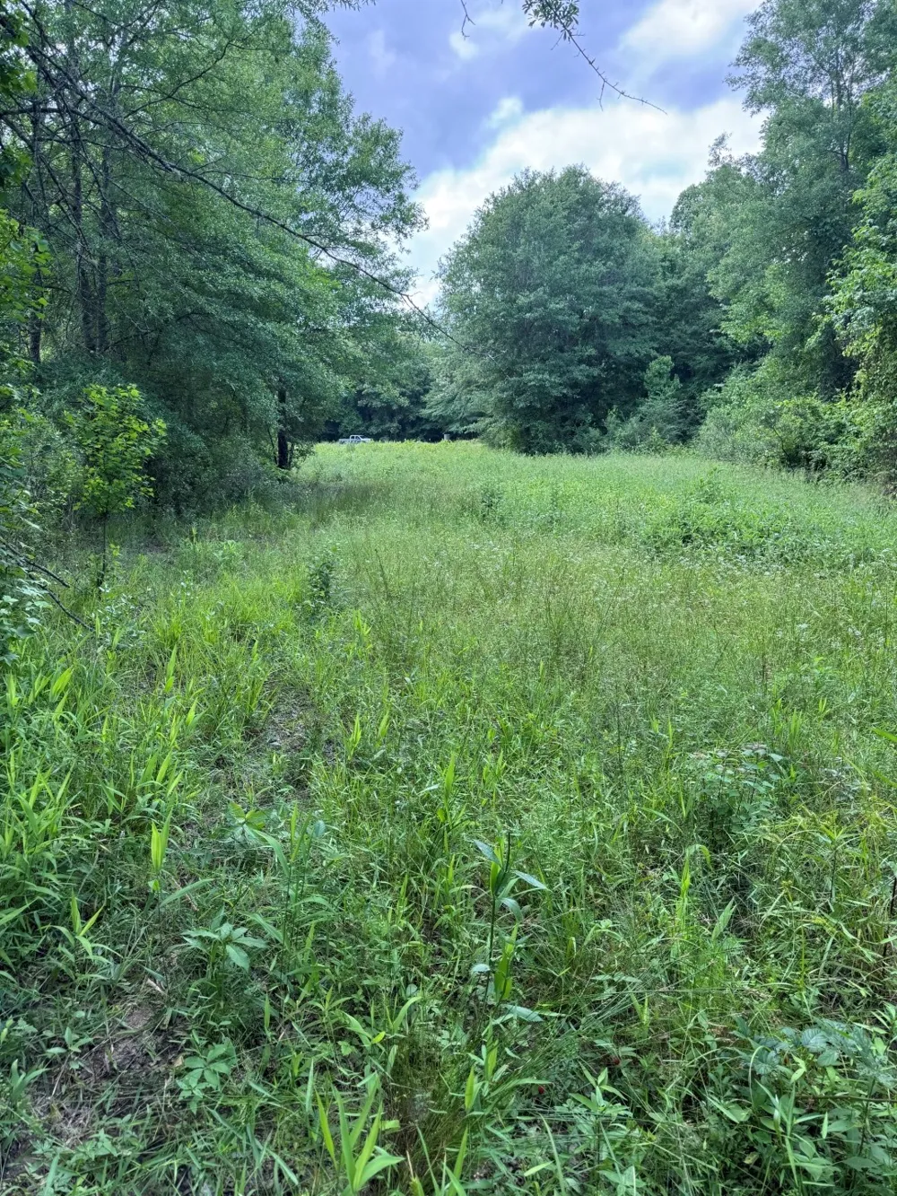 HWY 259 Diana, TX 75640