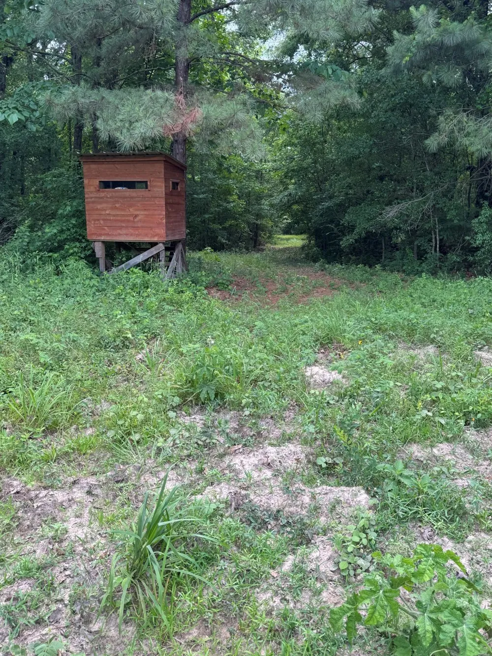 HWY 259 Diana, TX 75640