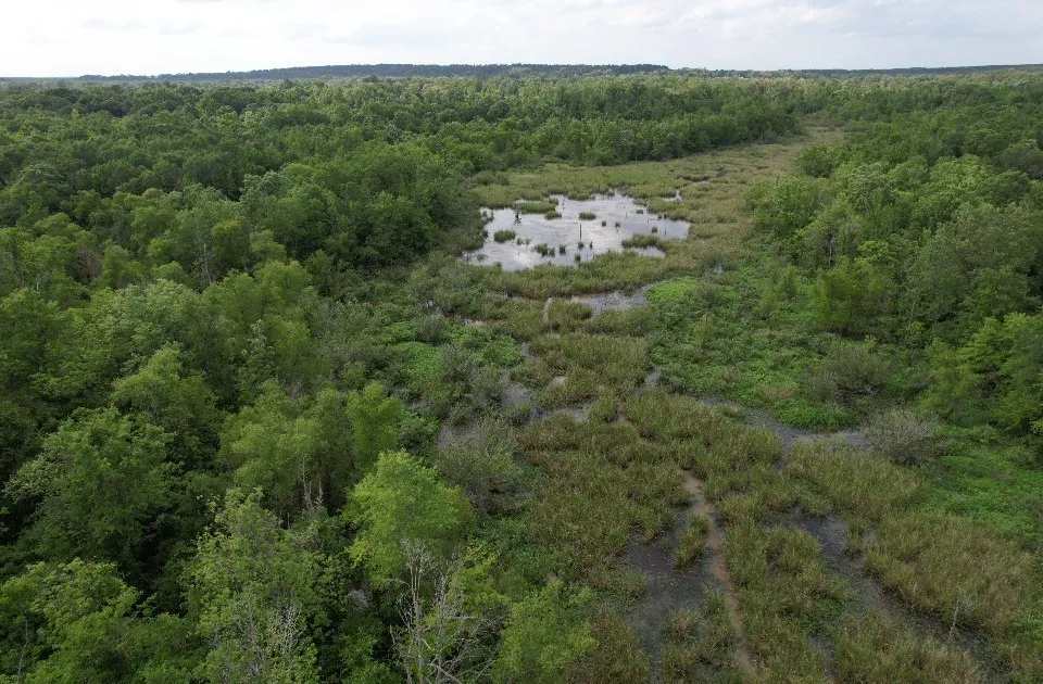 HWY 259 Diana, TX 75640