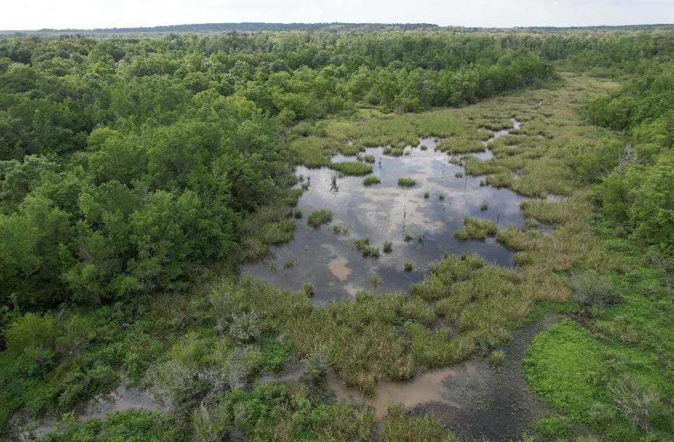 HWY 259 Diana, TX 75640