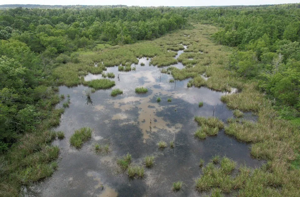 HWY 259 Diana, TX 75640