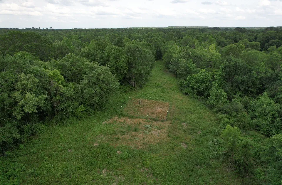 HWY 259 Diana, TX 75640