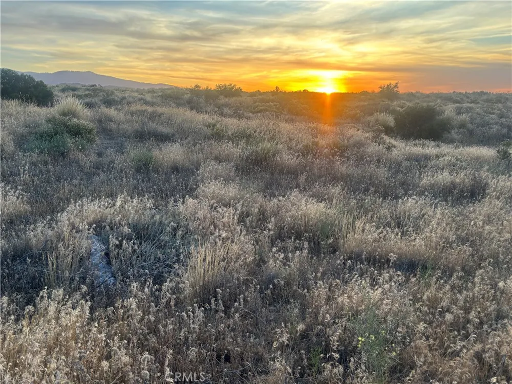 Wilson Ranch Phelan, CA 92371