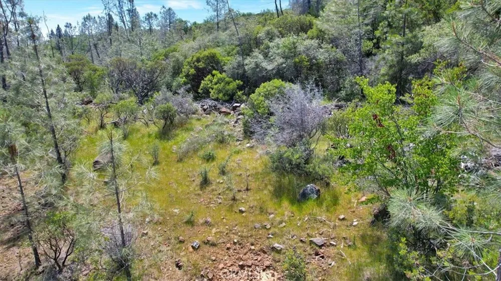 12934 Wild Acres Way Oregon House, CA 95962
