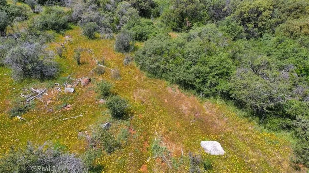 12934 Wild Acres Way Oregon House, CA 95962