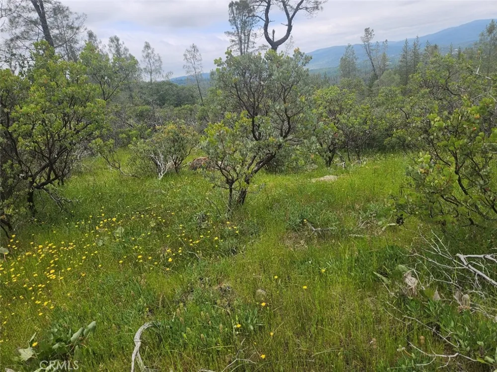 12934 Wild Acres Way Oregon House, CA 95962