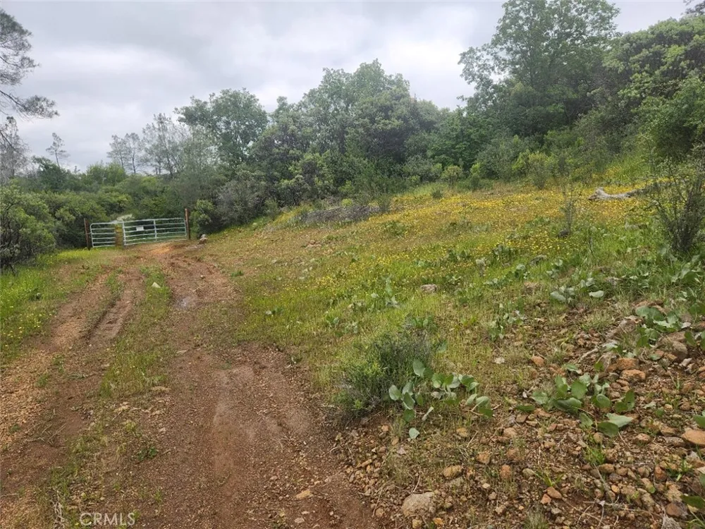 12934 Wild Acres Way Oregon House, CA 95962