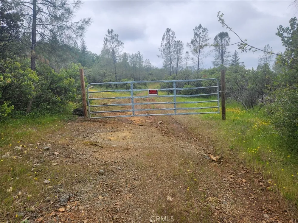 12934 Wild Acres Way Oregon House, CA 95962