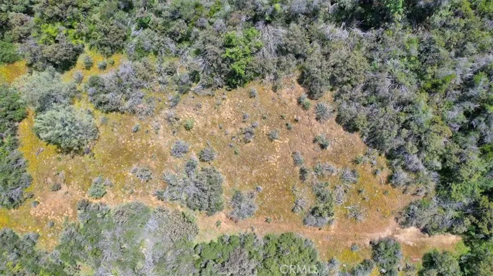 12934 Wild Acres Way Oregon House, CA 95962
